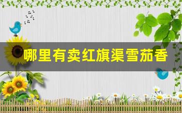 哪里有卖红旗渠雪茄香烟-红旗渠雪茄型烟购买地址