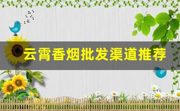 云霄香烟批发渠道推荐