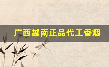 广西越南正品代工香烟-越南代工香烟质量口感好吗