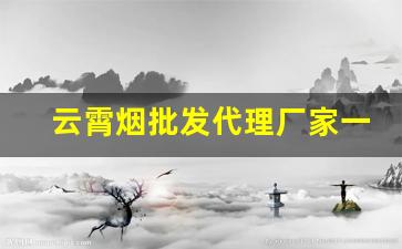云霄烟批发代理厂家一手