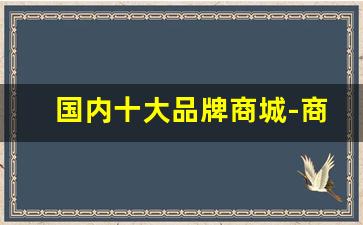 国内十大品牌商城-商城一般都有什么品牌