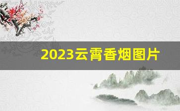 2023云霄香烟图片与价格