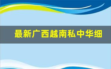 最新广西越南私中华细支香烟一手货源-越南细支99黑灰包装烟多少钱