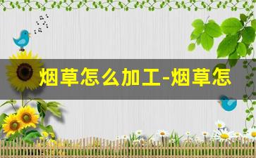 烟草怎么加工-烟草怎么加工成卷烟