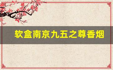 软盒南京九五之尊香烟批发-南京九五之尊双中支香烟